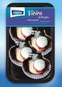 PACIFIC SCALLOP HALF SHELL